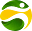 Br4bet (BR)